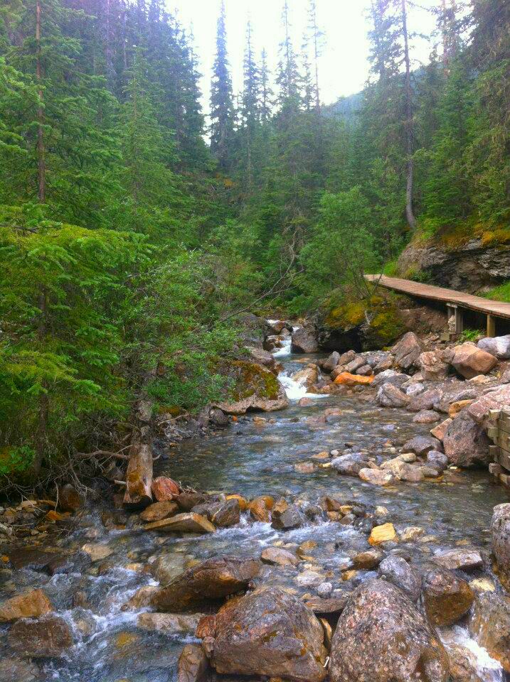 Top Things To See and Do In Jasper