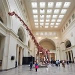 free entry to field museum with chicago cityPASS