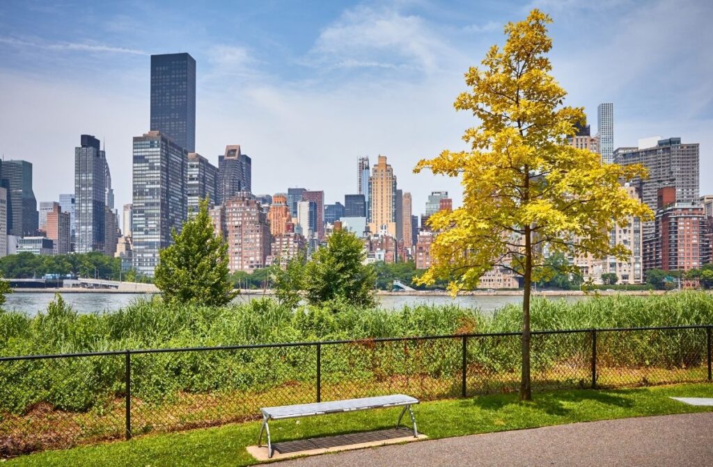 best free skyline views of new york city - roosevelt island