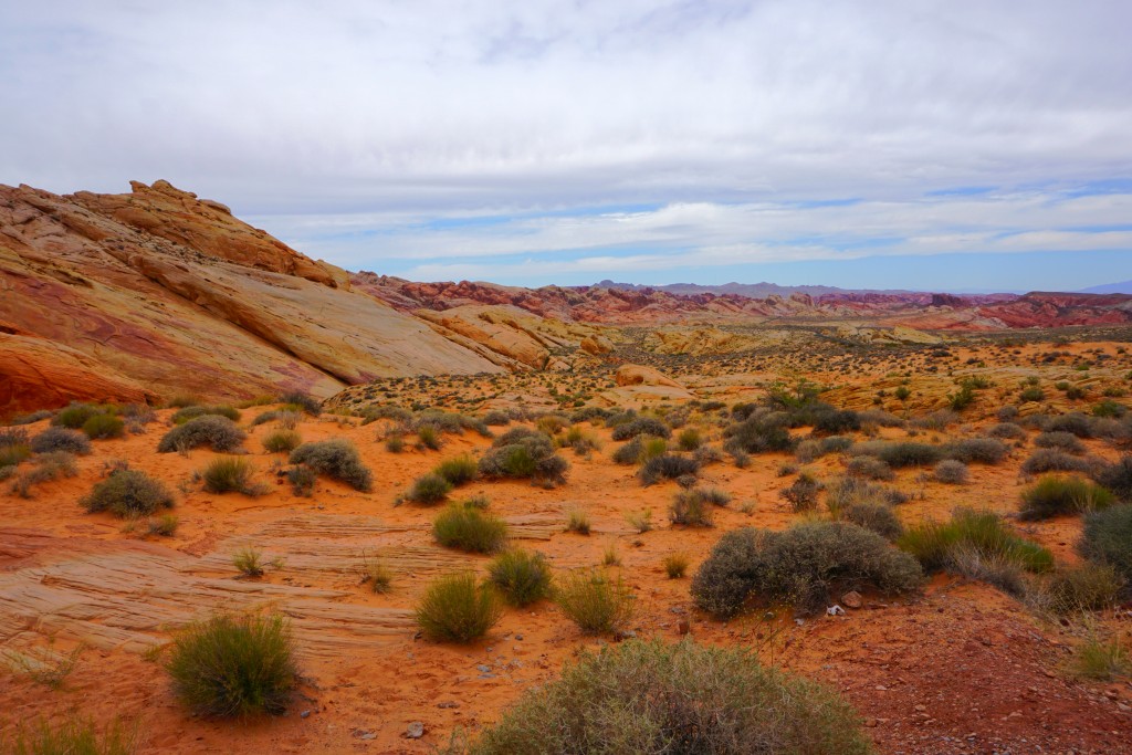 Day Trip from Las Vegas: Valley of Fire State Park