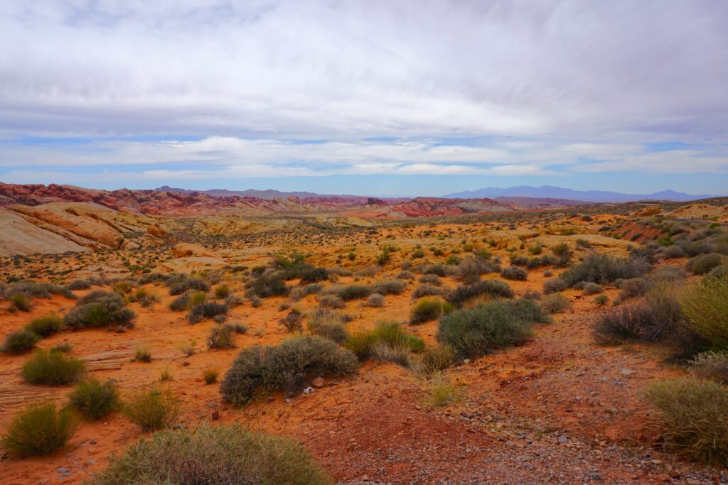 Day Trip from Las Vegas: Valley of Fire State Park