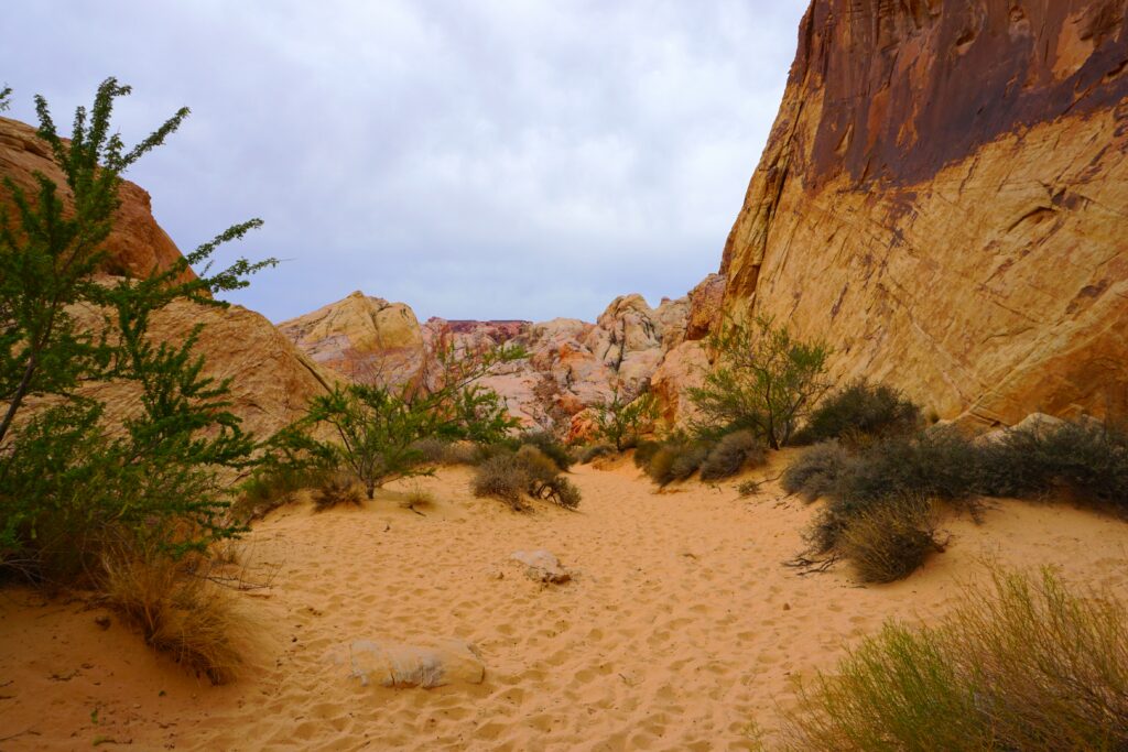 Day Trip from Las Vegas: Valley of Fire State Park