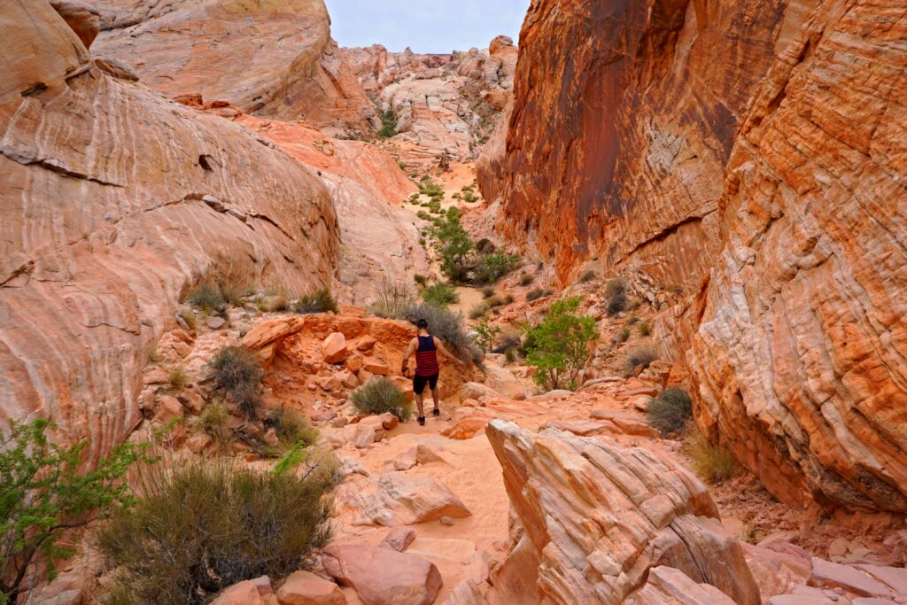 Day Trip from Las Vegas: Valley of Fire State Park