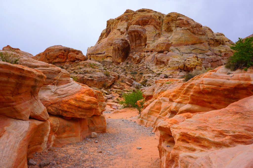 Day Trip from Las Vegas: Valley of Fire State Park