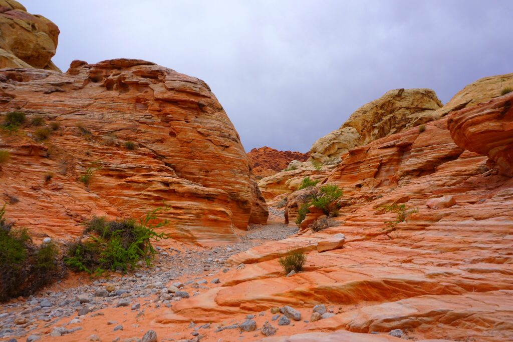 Day Trip from Las Vegas: Valley of Fire State Park