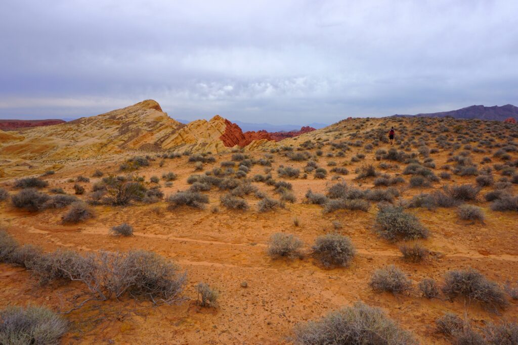 Day Trip from Las Vegas: Valley of Fire State Park