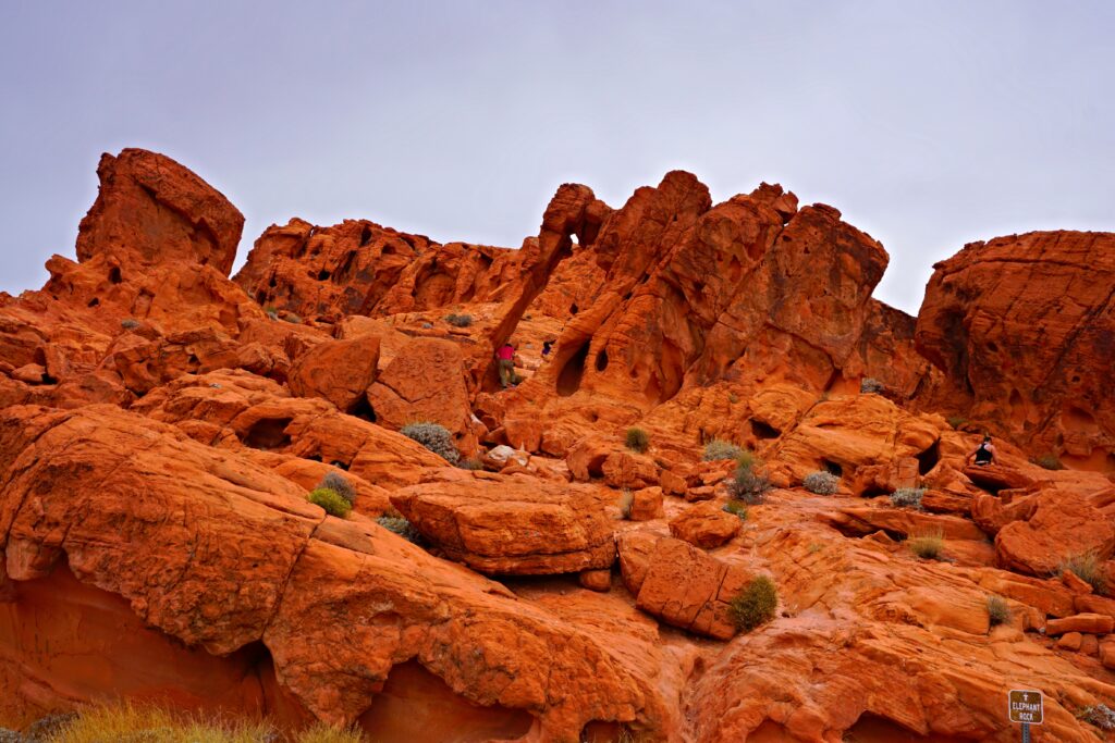 Day Trip from Las Vegas: Valley of Fire State Park