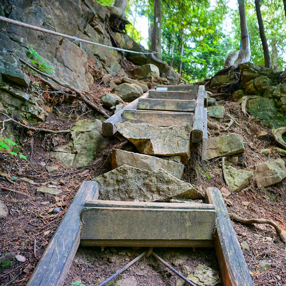 Hiking The Bruce Trail: Limehouse, Devil's Pulpit and Rattlesnake Point