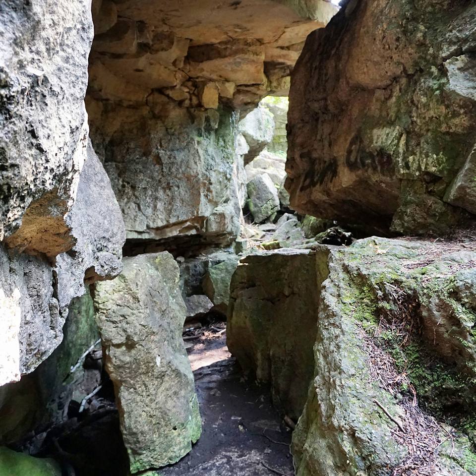 Hiking The Bruce Trail: Limehouse, Devil's Pulpit and Rattlesnake Point