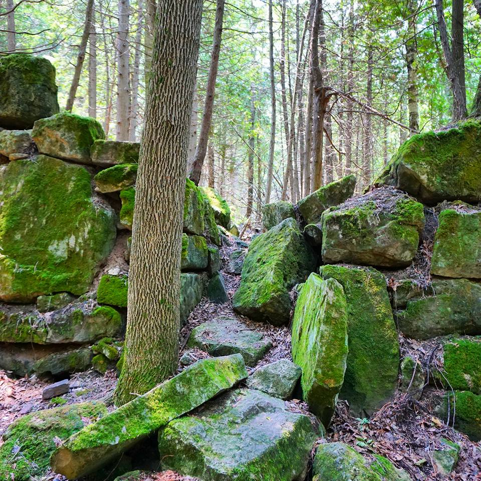 Hiking The Bruce Trail: Limehouse, Devil's Pulpit and Rattlesnake Point