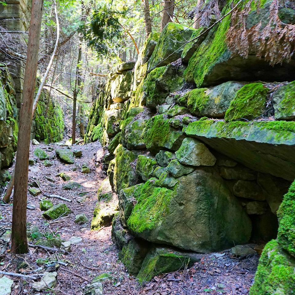 Hiking The Bruce Trail: Limehouse, Devil's Pulpit and Rattlesnake Point