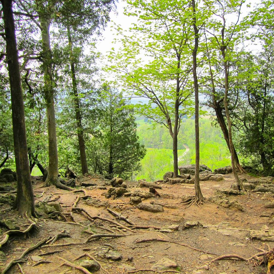 Hiking The Bruce Trail: Limehouse, Devil's Pulpit and Rattlesnake Point