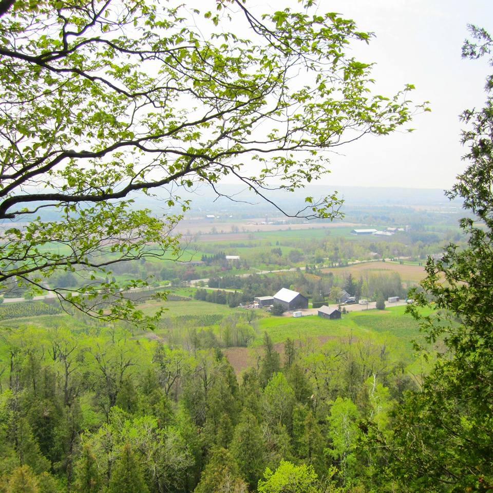 Hiking The Bruce Trail: Limehouse, Devil's Pulpit and Rattlesnake Point