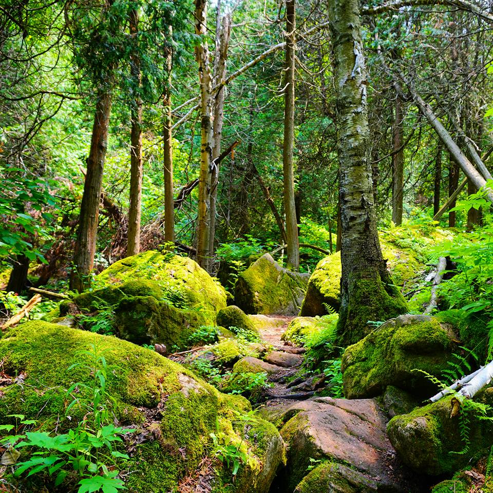 Hiking The Bruce Trail: Limehouse, Devil's Pulpit and Rattlesnake Point