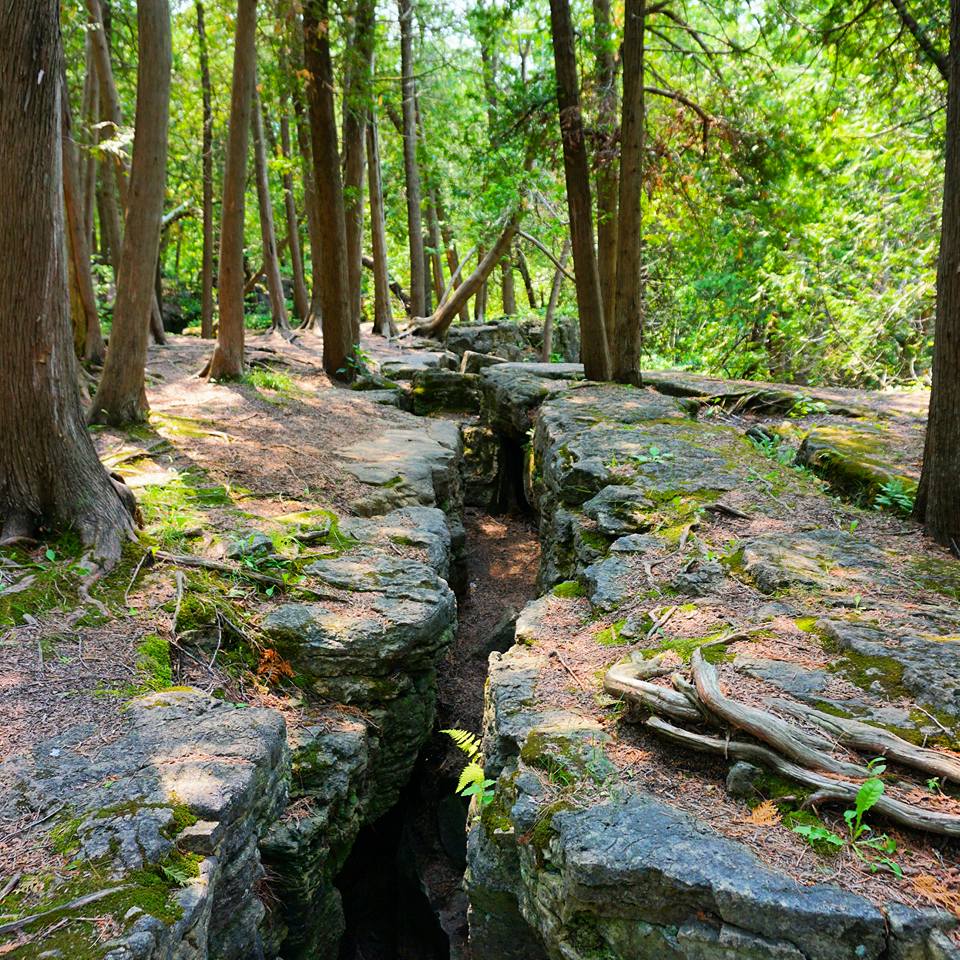 Hiking The Bruce Trail: Limehouse, Devil's Pulpit and Rattlesnake Point