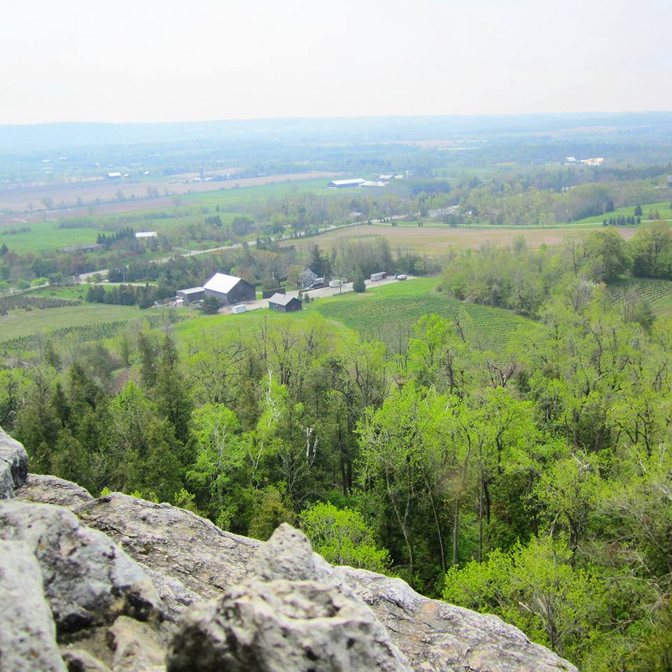 Hiking The Bruce Trail: Limehouse, Devil's Pulpit and Rattlesnake Point