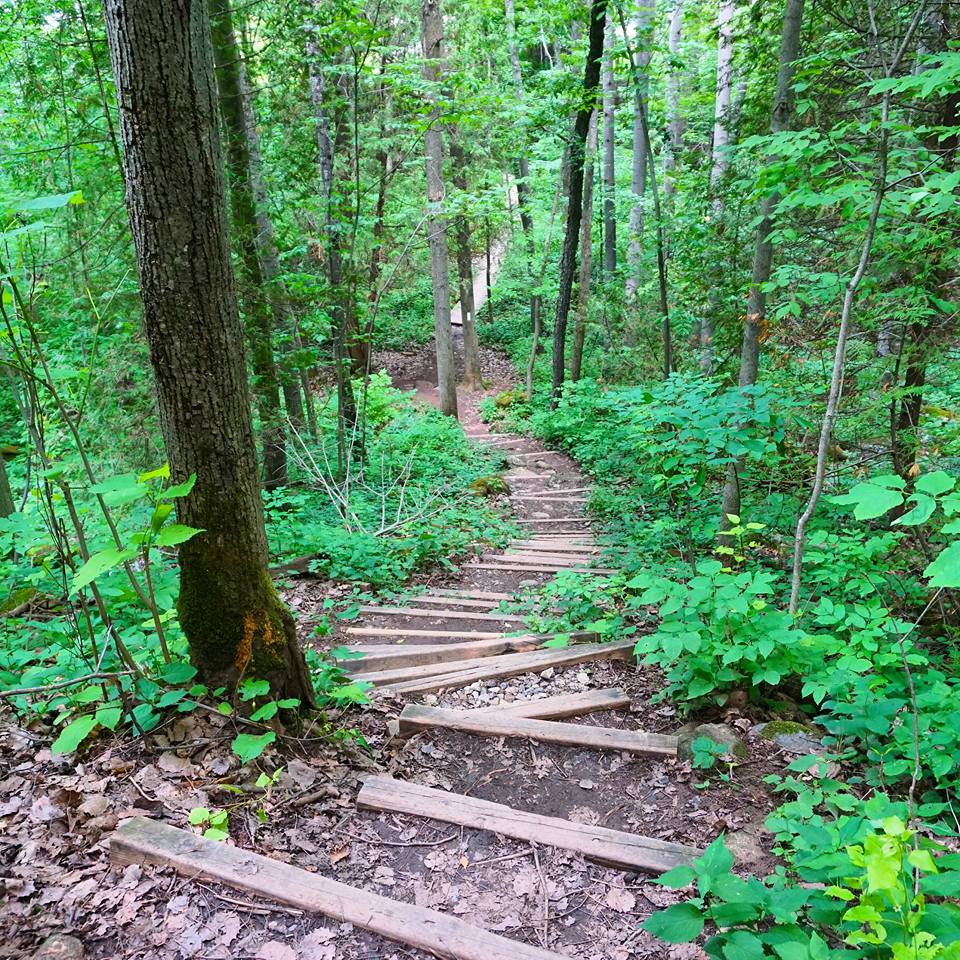 Hiking The Bruce Trail: Limehouse, Devil's Pulpit and Rattlesnake Point