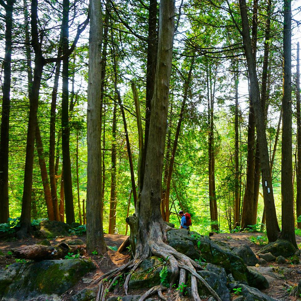Hiking The Bruce Trail: Limehouse, Devil's Pulpit and Rattlesnake Point