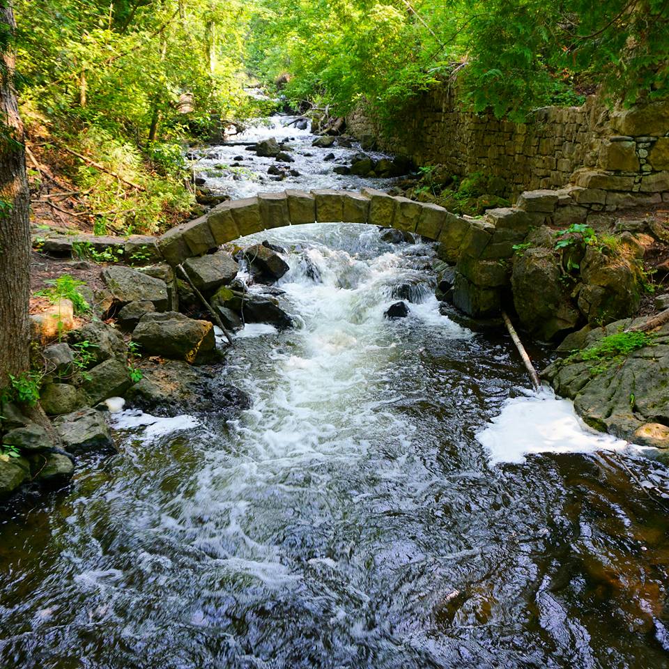 Hiking The Bruce Trail: Limehouse, Devil's Pulpit and Rattlesnake Point