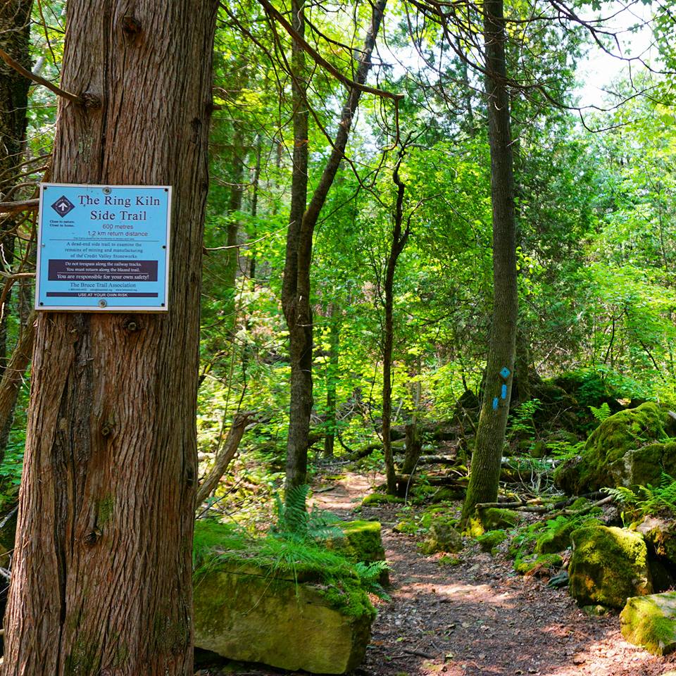 Hiking The Bruce Trail Limehouse, Devil's Pulpit and Rattlesnake Point