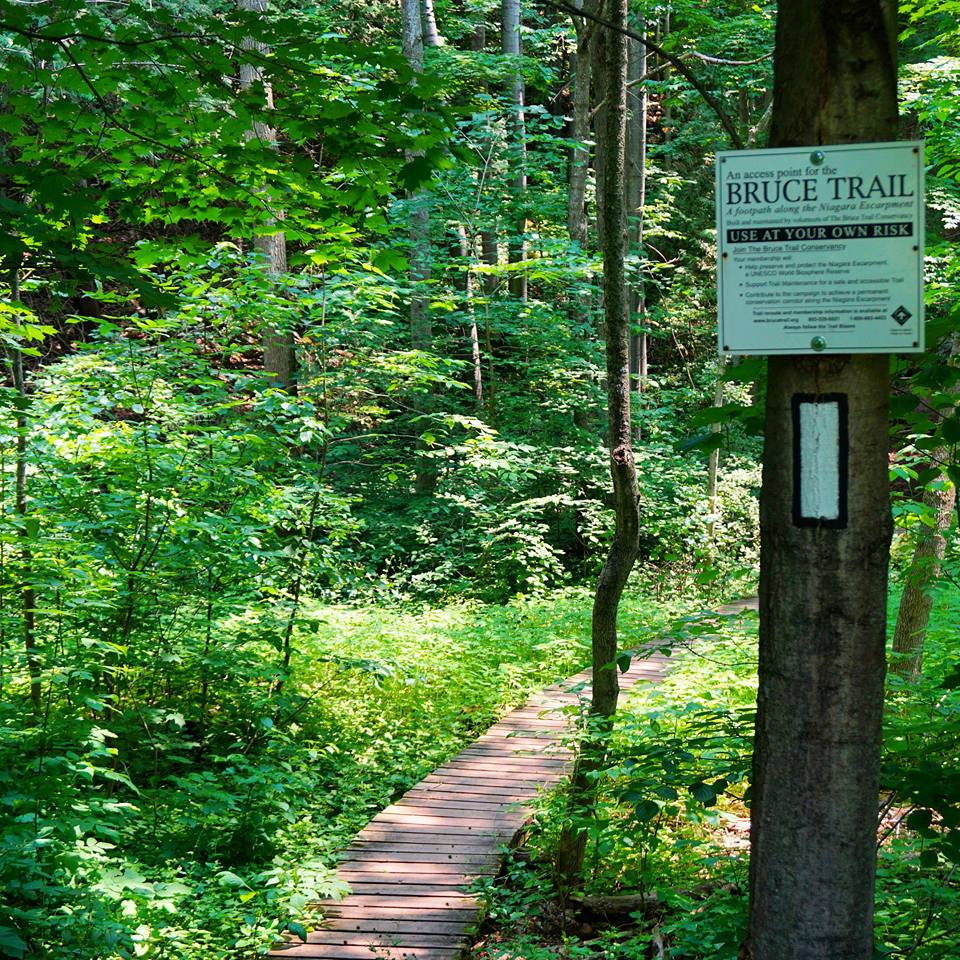 Hiking The Bruce Trail: Limehouse, Devil's Pulpit and Rattlesnake Point