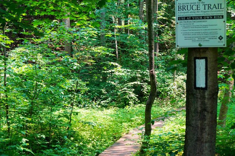 Hiking The Bruce Trail: Limehouse, Devil's Pulpit and Rattlesnake Point