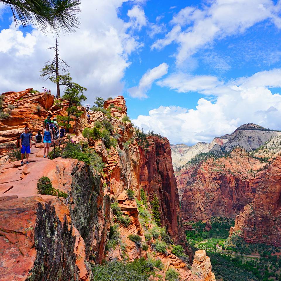 Hiking up Angel's Landing in Zion National Park