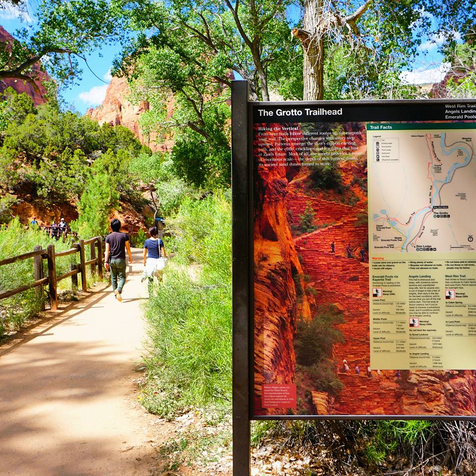 Hiking up Angel's Landing in Zion National Park