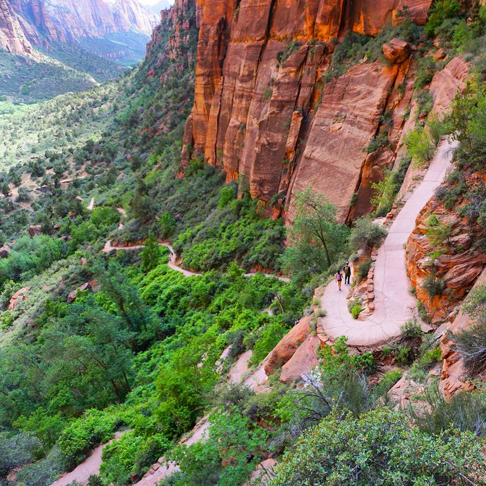 Hiking up Angel's Landing in Zion National Park