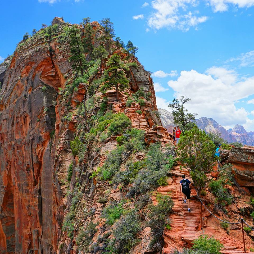 Hiking up Angel's Landing in Zion National Park