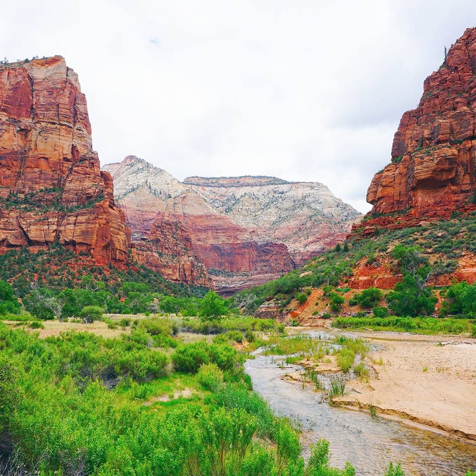 Hiking up Angel's Landing in Zion National Park