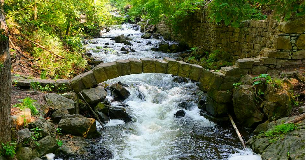 Hiking The Bruce Trail Limehouse, Devil's Pulpit and Rattlesnake Point