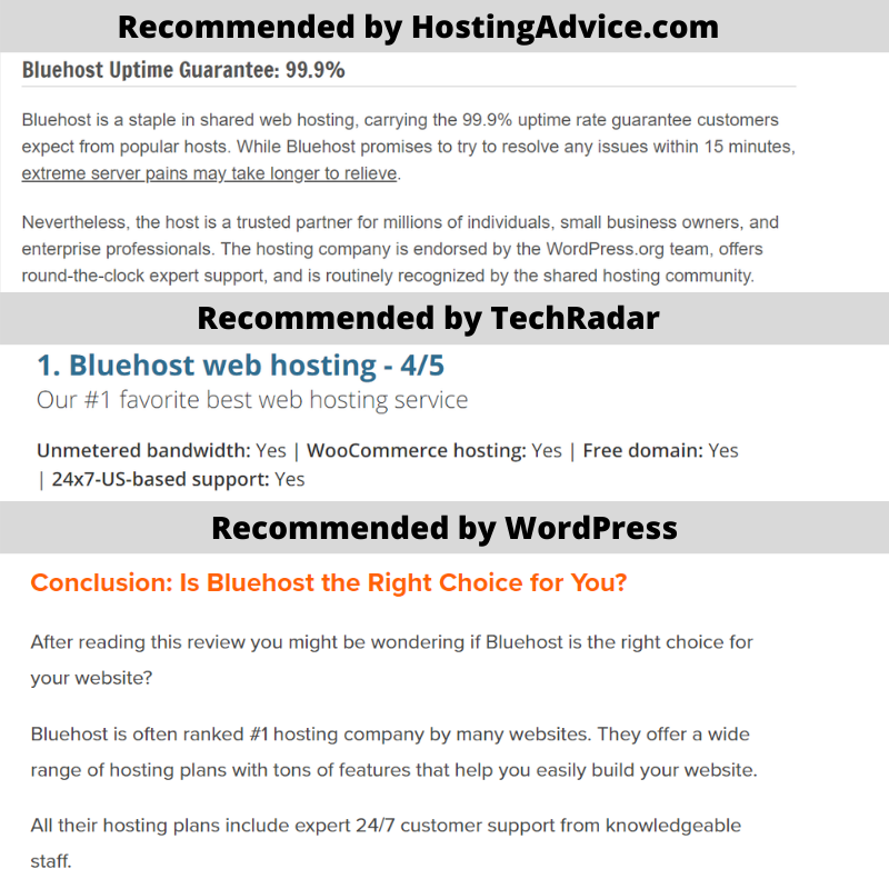 blue host web hosting review