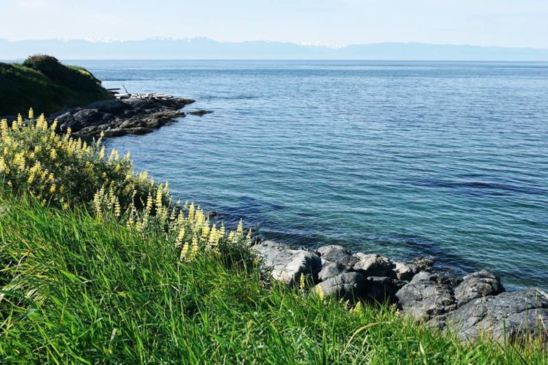 36 Hours In Victoria
