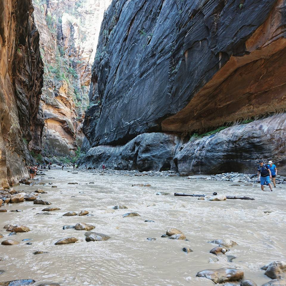 Hiking The Narrows In Zion National Park