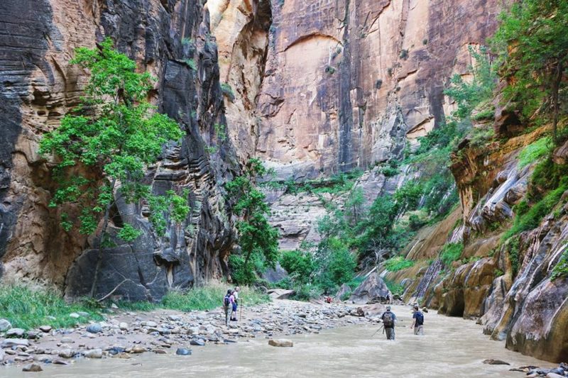 Hiking The Narrows In Zion National Park