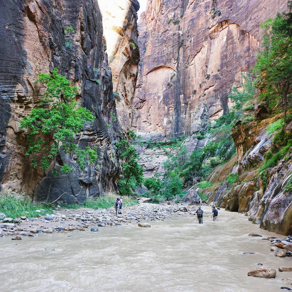 Hiking The Narrows In Zion National Park