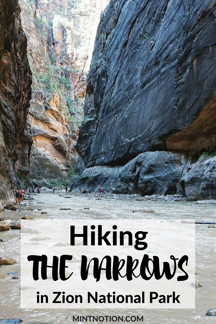 Hiking The Narrows In Zion National Park Mint Notion