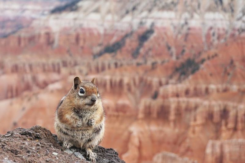 The Ultimate One Week Itinerary Exploring Utah's National Parks