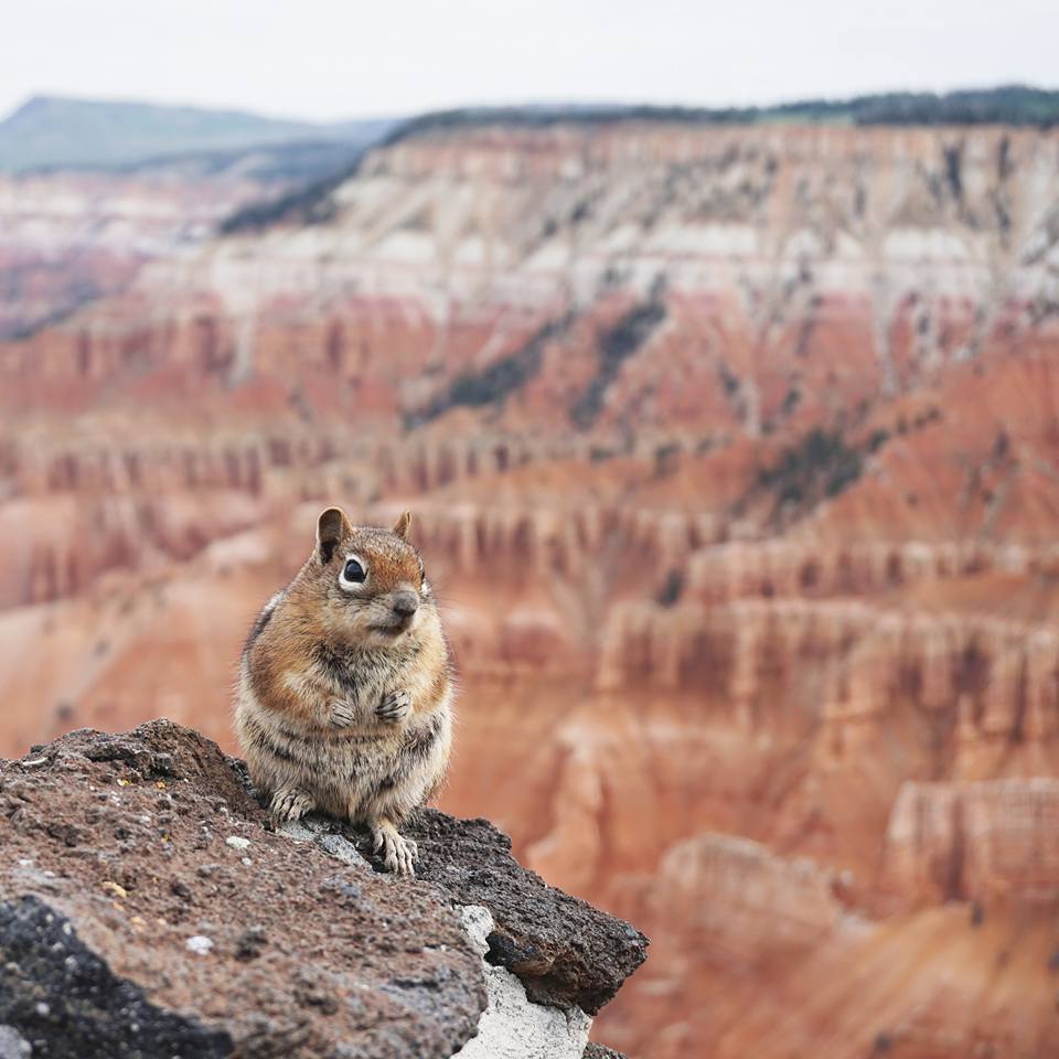 The Ultimate One Week Itinerary Exploring Utah's National Parks