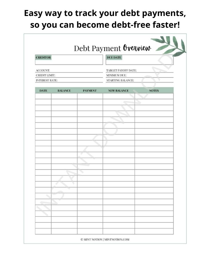 debt payment tracker
