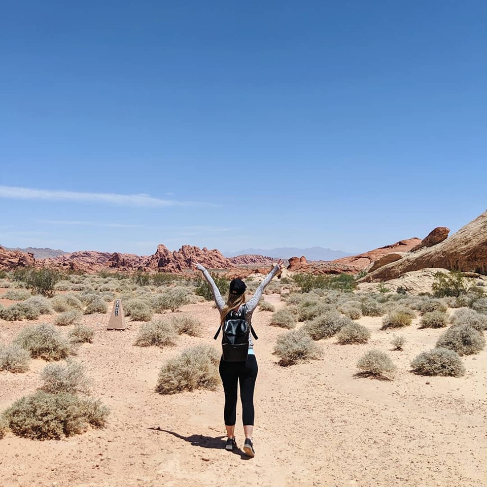 Valley of Fire State Park - Vegas day trip