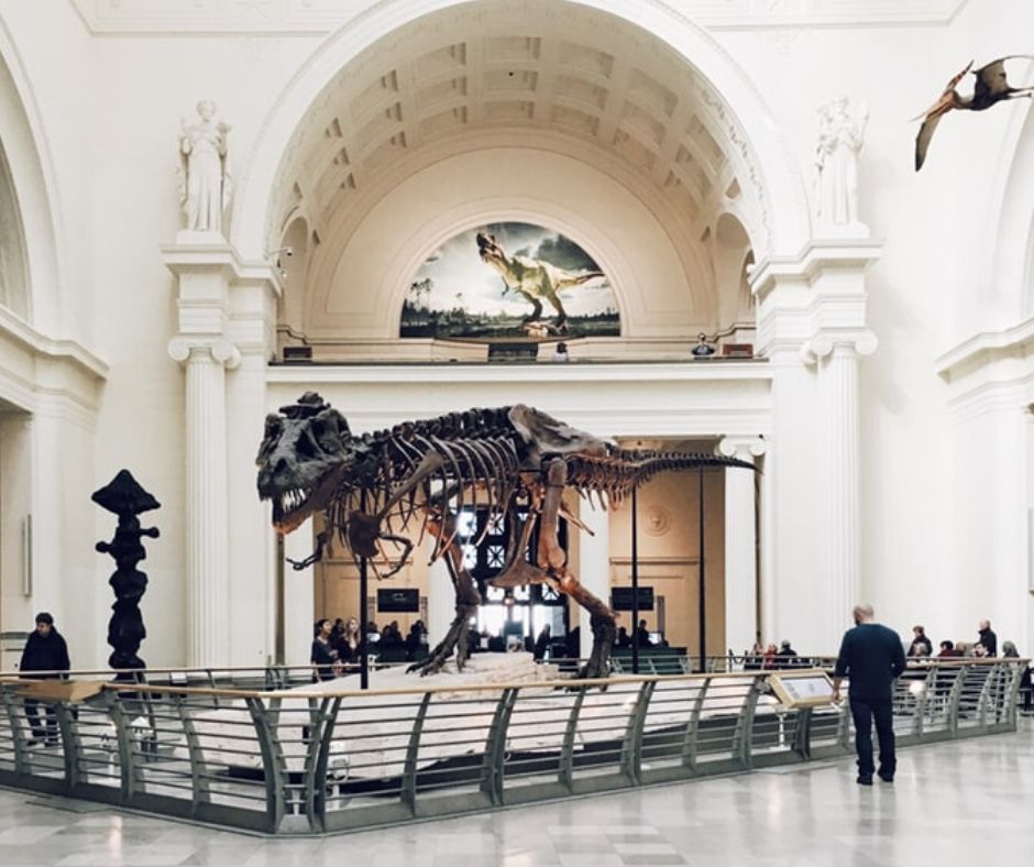 free entry to the field museum with the chicago citypass