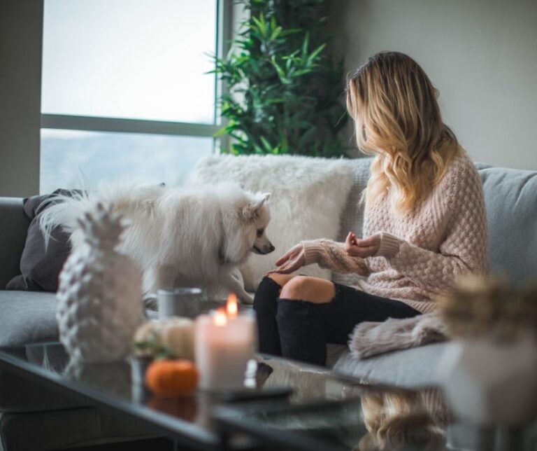 46 things to do at home when you're bored