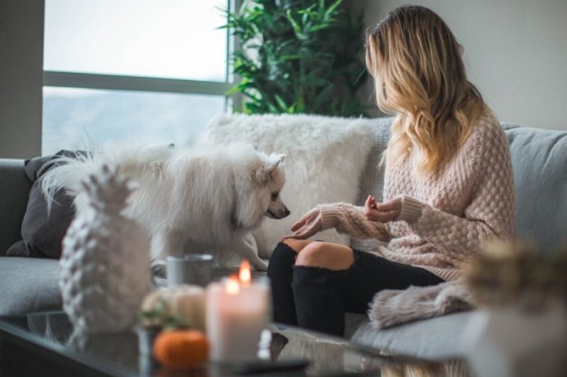46 things to do at home when you're bored