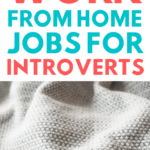 work from home jobs for introverts