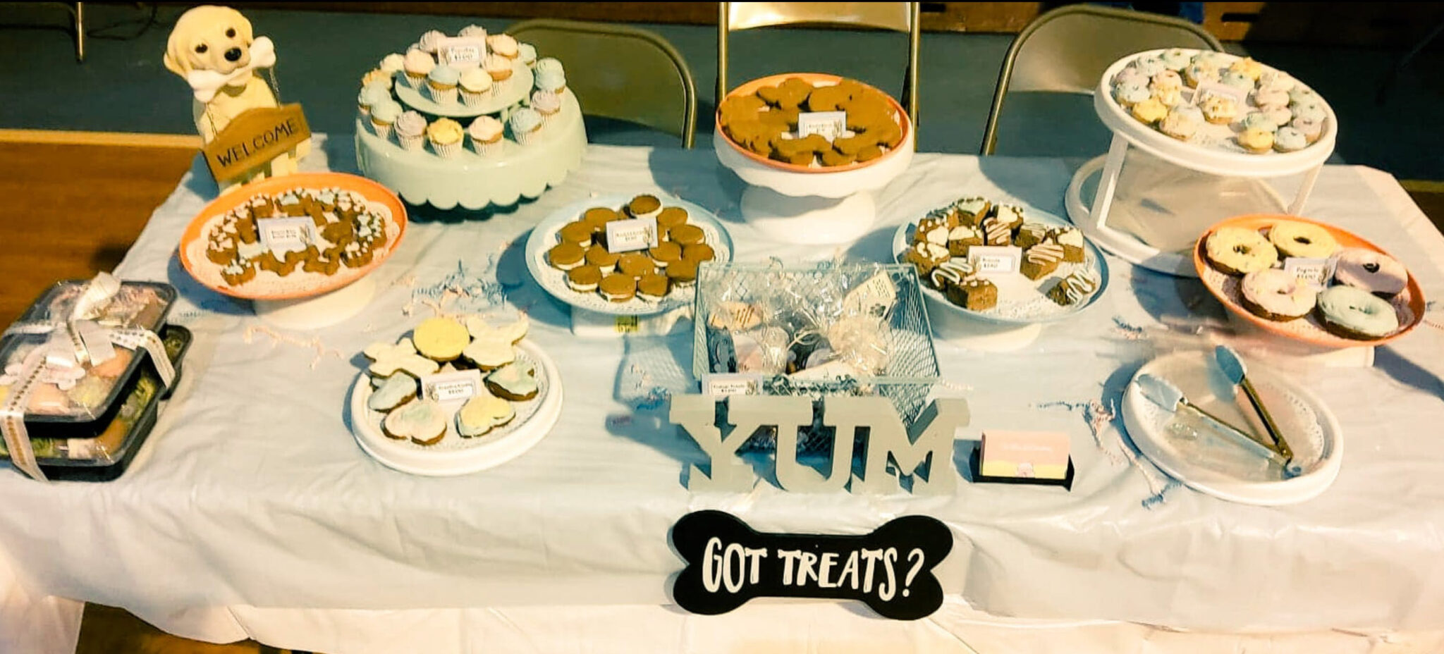 How to Start a Dog Treat Business at Home Mint Notion