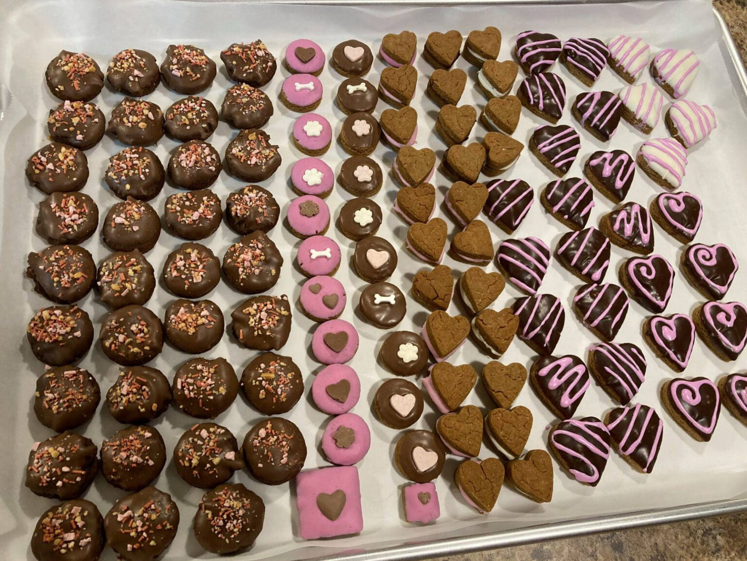 How to Start a Dog Treat Business at Home Mint Notion