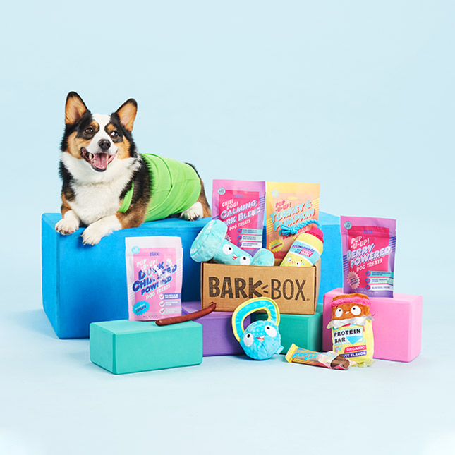 subscription gift ideas - bark box