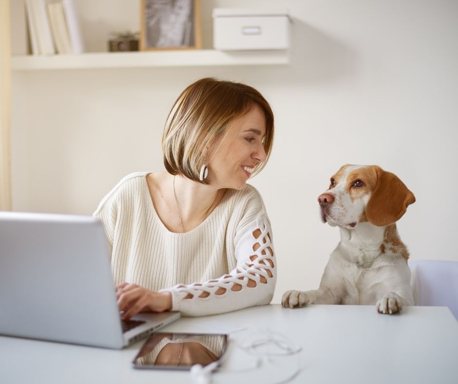 make money working with dogs - pet blog